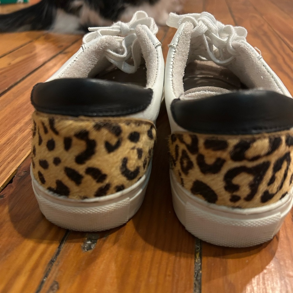 Seve Madden Sneakers with Leopard and cloth Accents